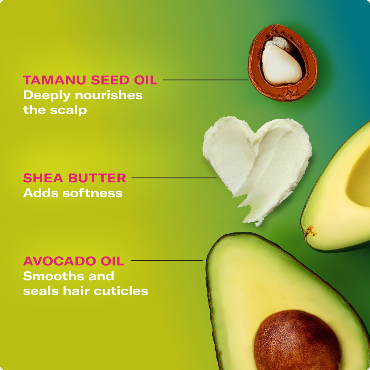 Avocado & Tamanu Anti-Frizz Conditioner